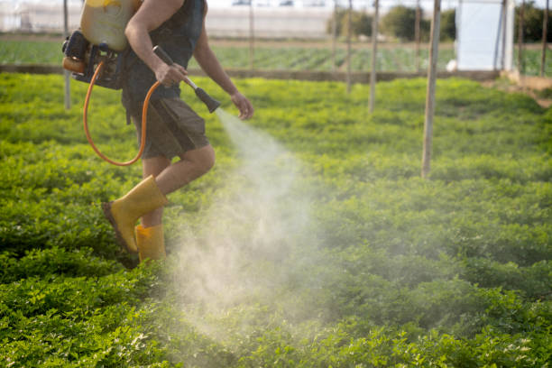 Best Best Pest Control Companies  in Haven, KS