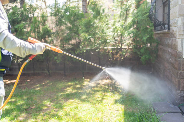 Best Local Pest Control Services  in Haven, KS