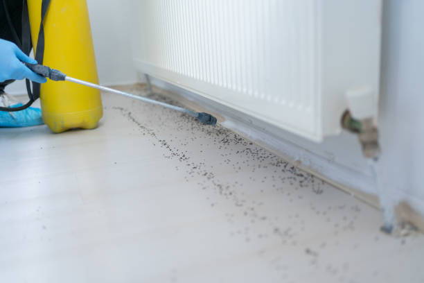 Best Pest Prevention Services  in Haven, KS