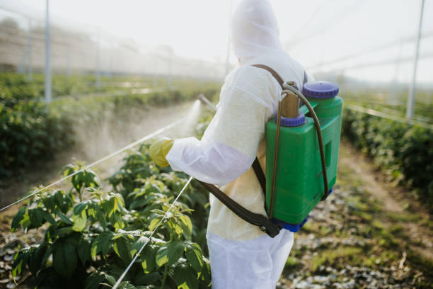 Best Flea Control Services  in Haven, KS